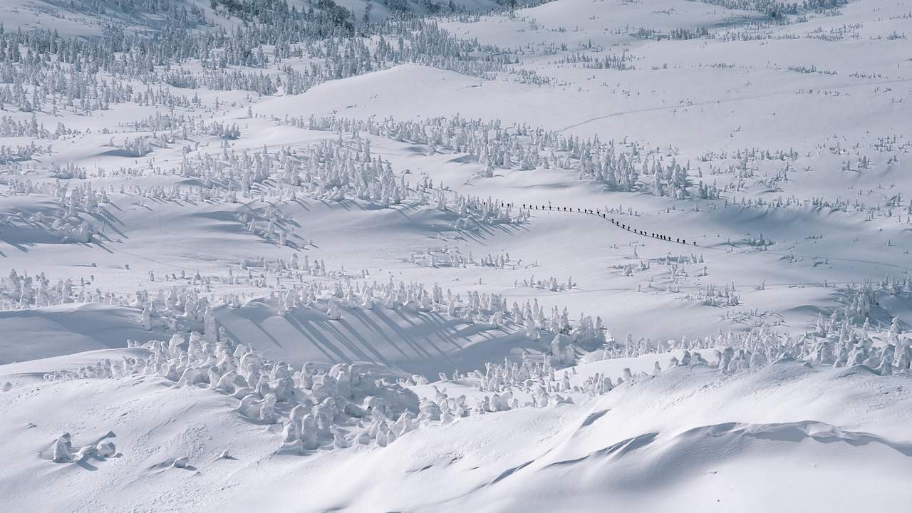 Exploring the Best Skiing and Snowboarding in Japan