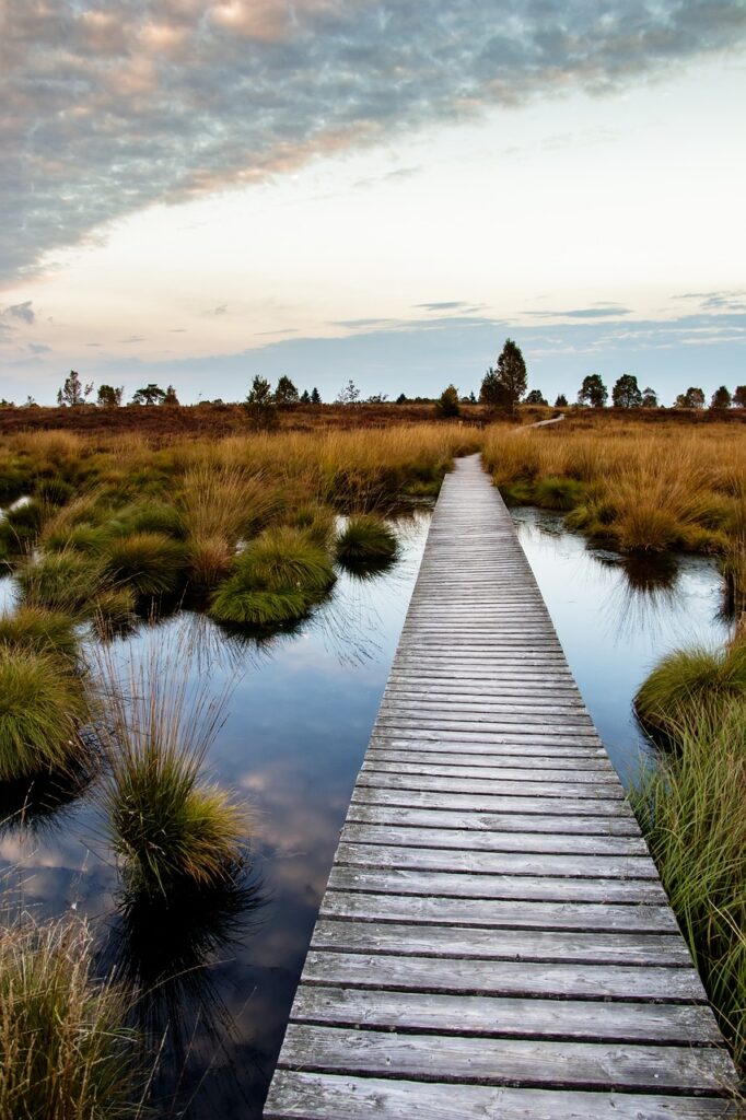 A path through the Baltic moors