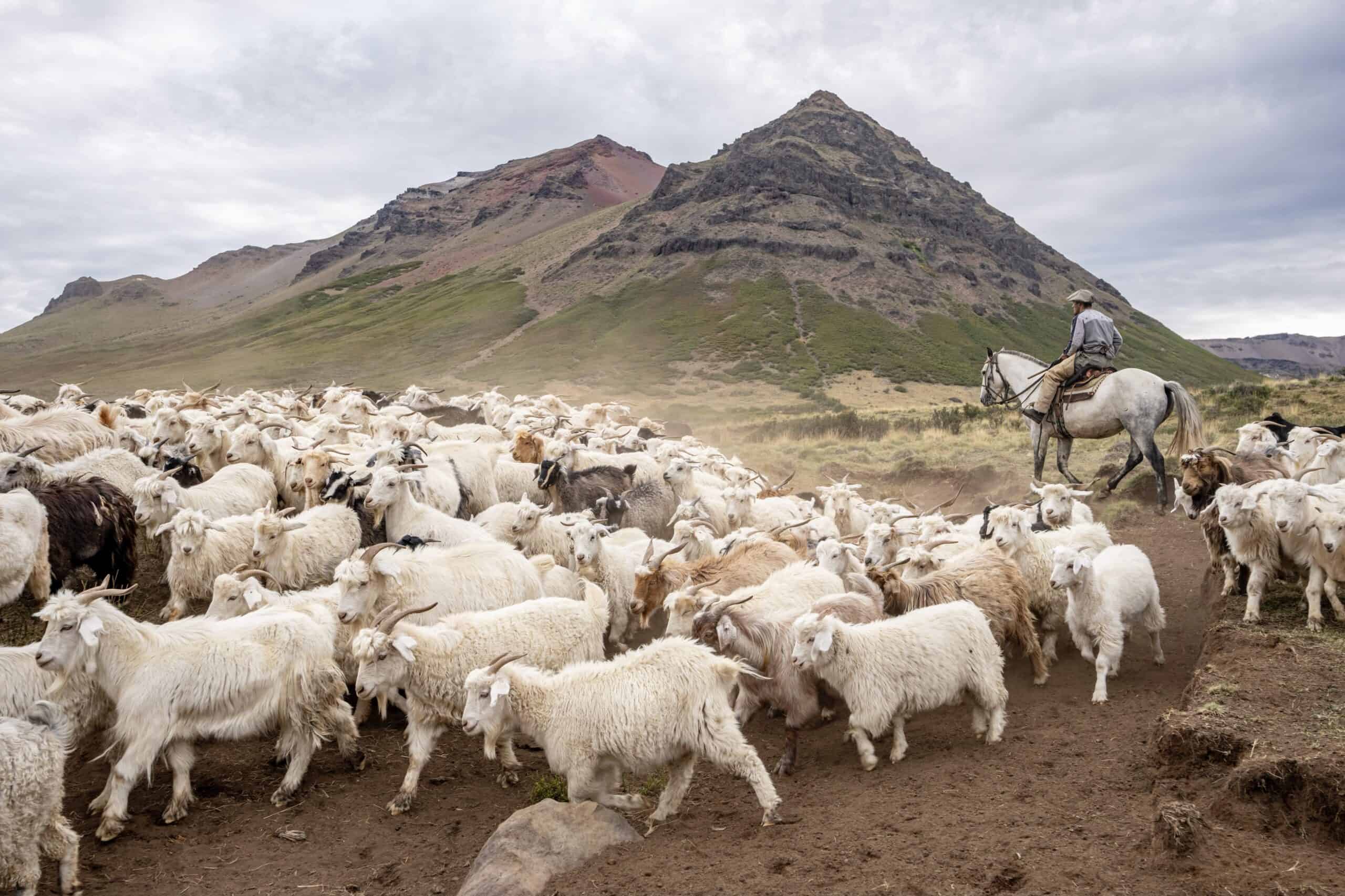 Go Off-Grid In a Gaucho Ranch (Estancia) in Patagonia, Argentina