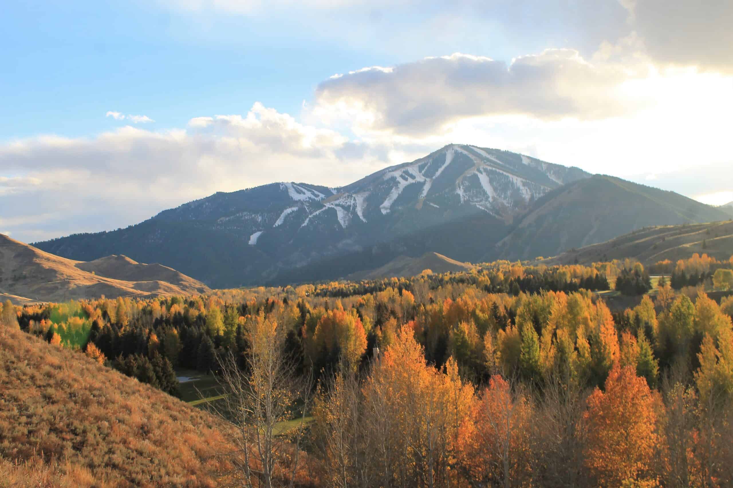 Bald Mountain as seen from Sun Valley, Idaho with fall foliage in the foreground