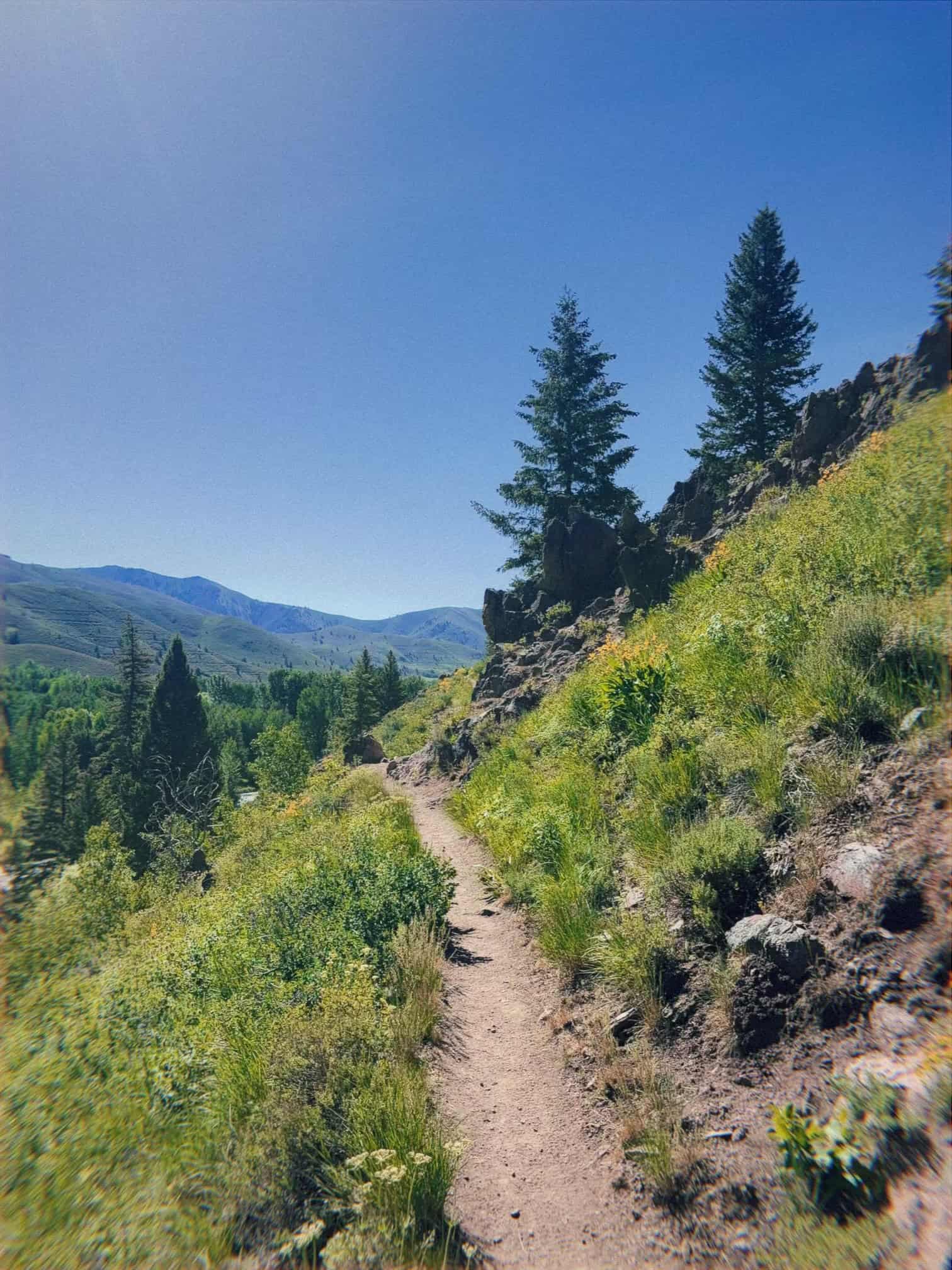 Summer in Sun Valley