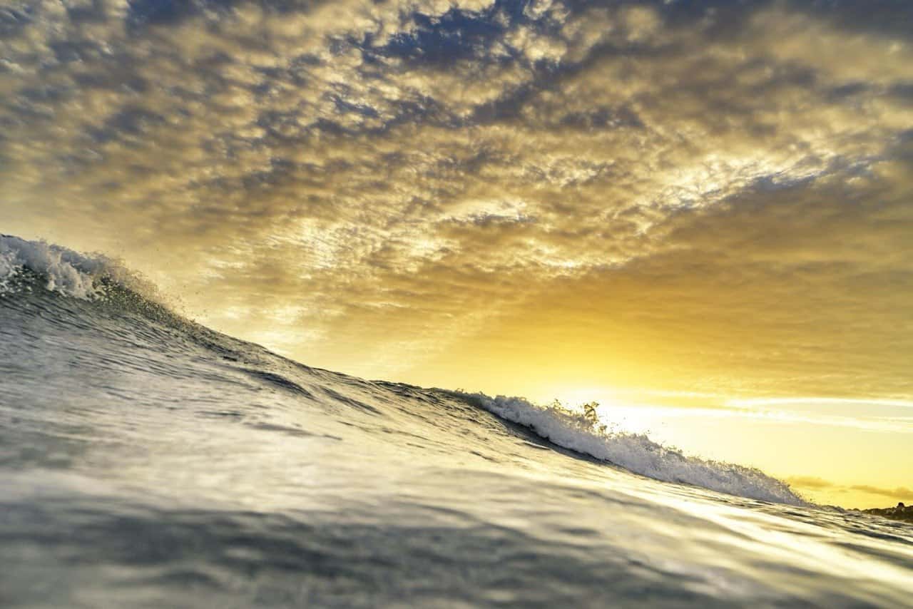 Golden hour wave on the Orange County coast